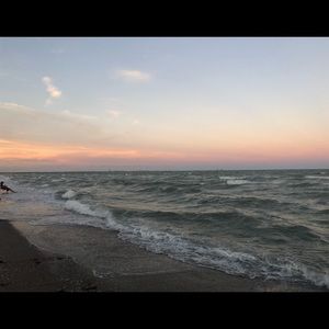 Meet your Posher, Gregory